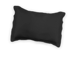 Pump Mulberry Silk Pillow Case Black