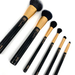 LUXURY BRUSH COLLECTION | 6 PIECE